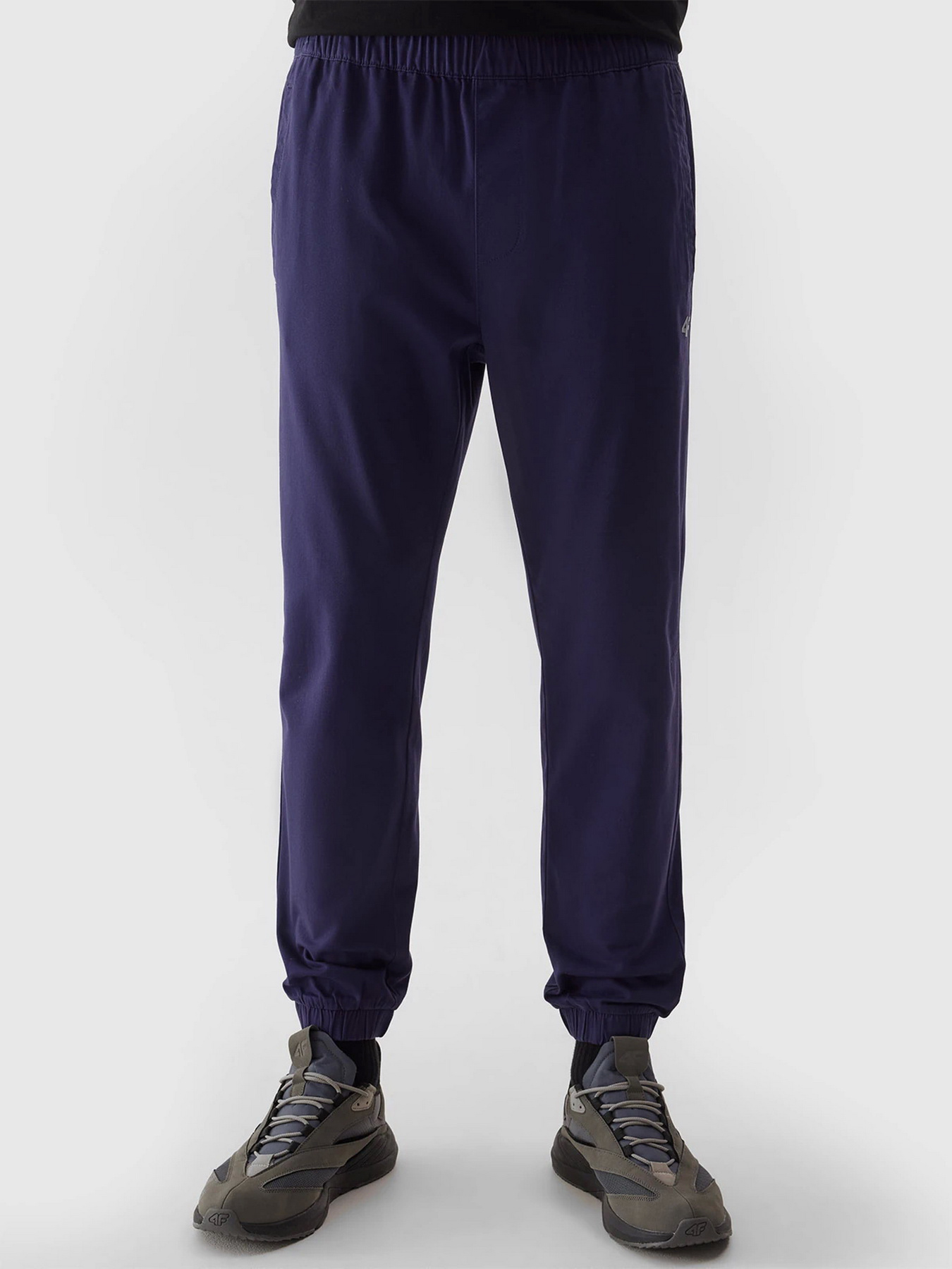 Штаны спортивные 4F M646 модель 4FWSS24TTROM646-31S Фото