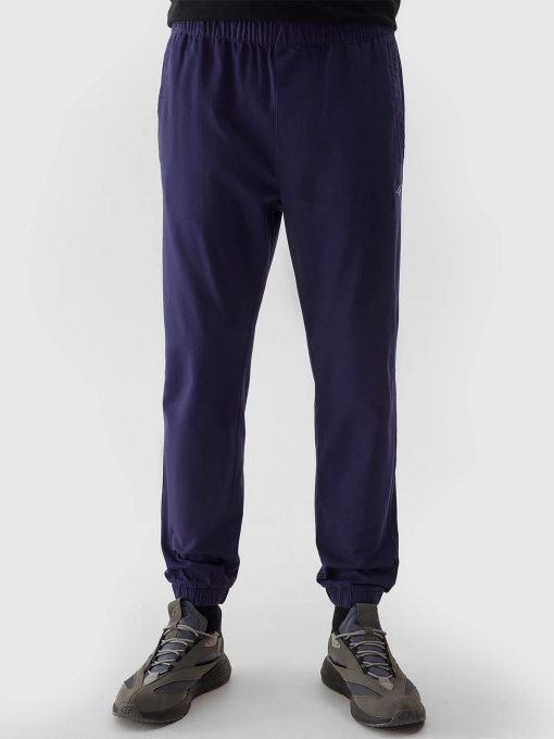 Штаны спортивные 4F M646 модель 4FWSS24TTROM646-31S Фото