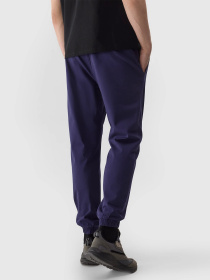 Спортивні штани 4F M646 модель 4FWSS24TTROM646-31S Фото