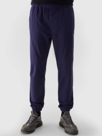 Штаны спортивные 4F M646 модель 4FWSS24TTROM646-31S Фото