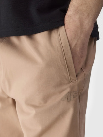 Штаны спортивные 4F Trousers Cas M646 модель 4FWSS24TTROM646-83S Фото