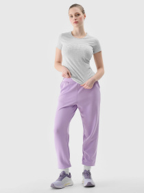 Футболка 4F F1163 модель 4FWSS24TTSHF1163-27M Футболка 4F F1163 модель 4FWSS24TTSHF1163-27M Фото