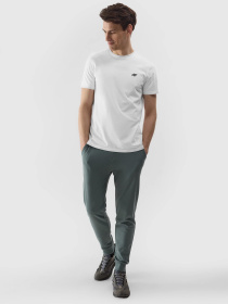 Футболка 4F M1154 модель 4FWSS24TTSHM1154-10S Фото