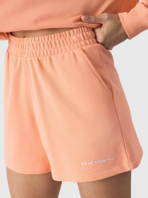 Повсякденні шорти 4F F327 модель 4FWSS24TSHOF327-64S Фото