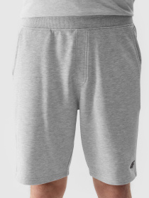 Шорти 4F M284 модель 4FWSS24TSHOM284-27M Фото