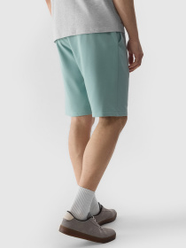 Шорты 4F M284 модель 4FWSS24TSHOM284-47S Фото