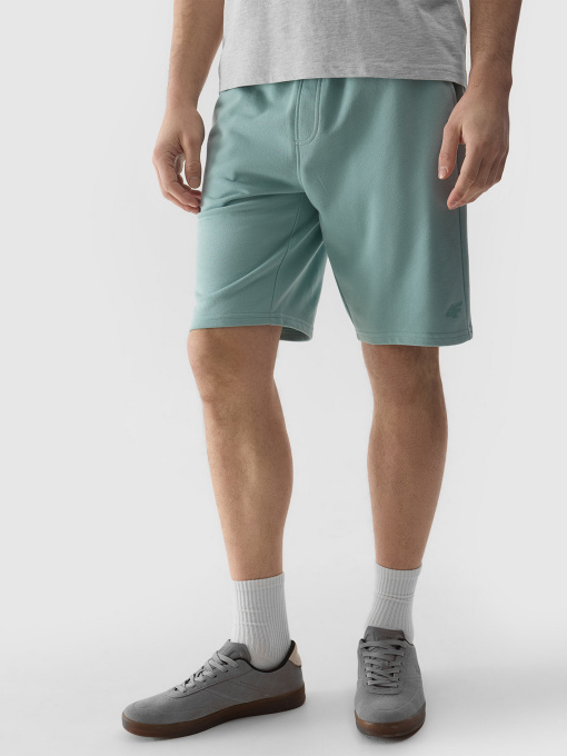 Шорти 4F M284 Модель 4FWSS24TSHOM284-47S Фото