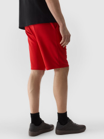 Шорти 4F M284 модель 4FWSS24TSHOM284-61S Фото