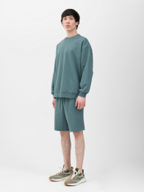 Шорты 4F M342 модель 4FWSS24TSHOM342-44S Фото