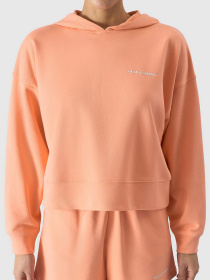 Худі 4F F1003 Модель 4FWSS24TSWSF1003-64S Фото