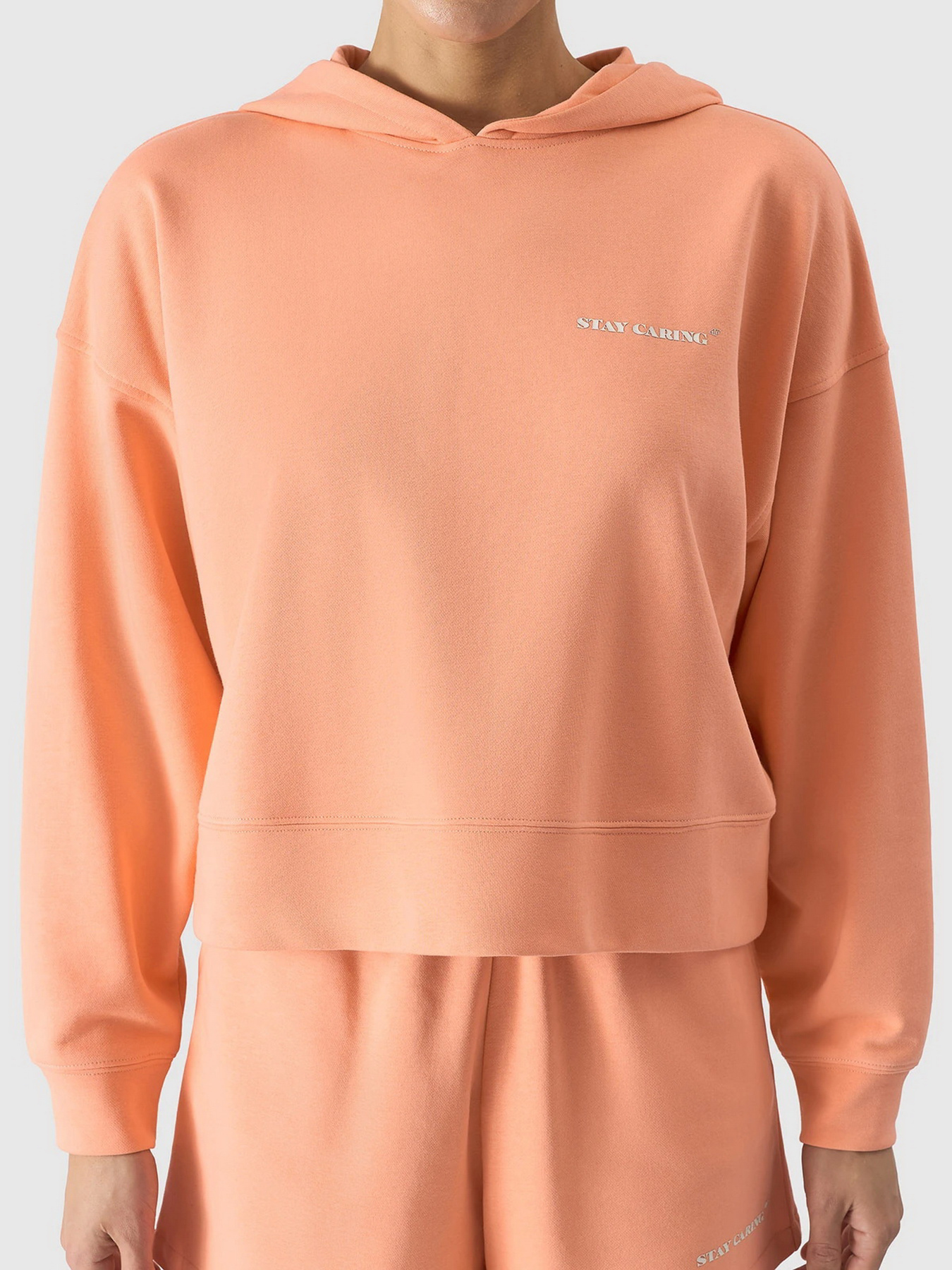 Худі 4F F1003 модель 4FWSS24TSWSF1003-64S Фото