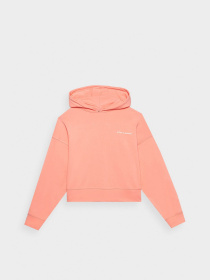 Худі 4F F1003 модель 4FWSS24TSWSF1003-64S Фото