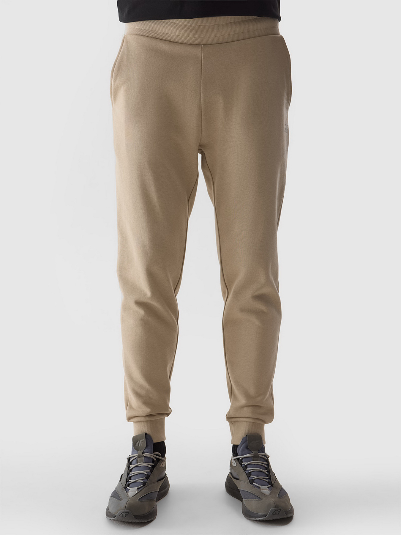Штани спортивні 4F M603 Модель 4FWSS24TTROM603-83S Фото