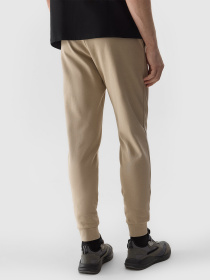 Спортивні штани 4F M603 модель 4FWSS24TTROM603-83S Фото