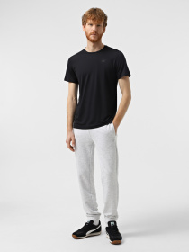 Футболка 4F M1343 модель 4FWSS25TFTSM1343-20S Фото