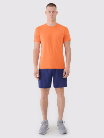 Футболка 4F M1343 модель 4FWSS25TFTSM1343-70S Фото