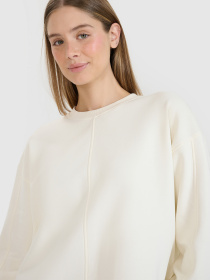 Світшот 4F F1543 модель 4FWSS25TSWSF1543-11S Фото