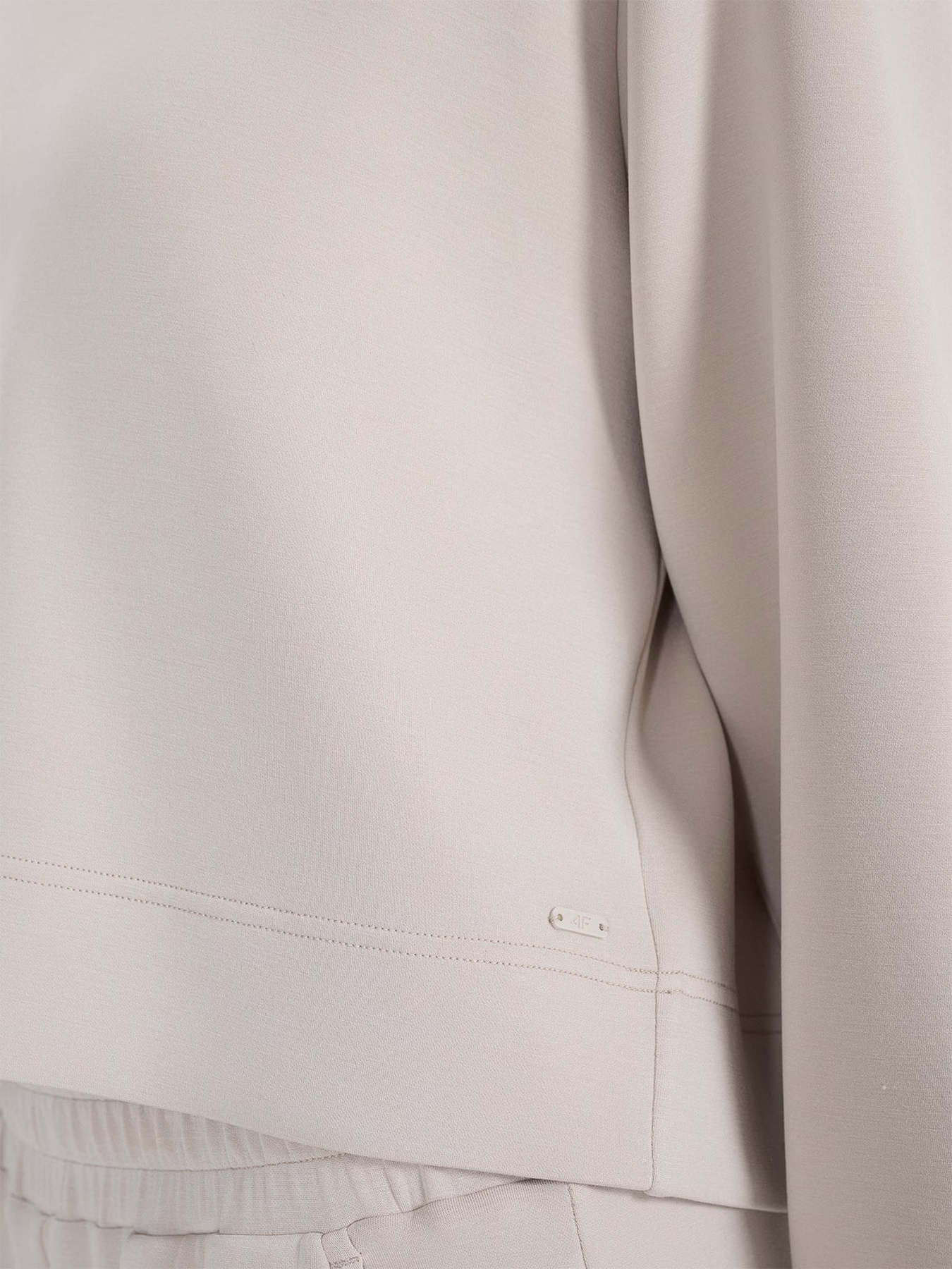 Світшот 4F F1562 модель 4FWSS25TSWSF1562-83S Фото