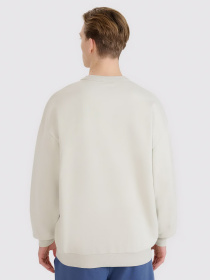 Світшот 4F U1546 модель 4FWSS25TSWSU1546-12S Фото