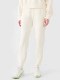 Штани спортивні 4F F0996 модель 4FWSS25TTROF0996-11S Фото