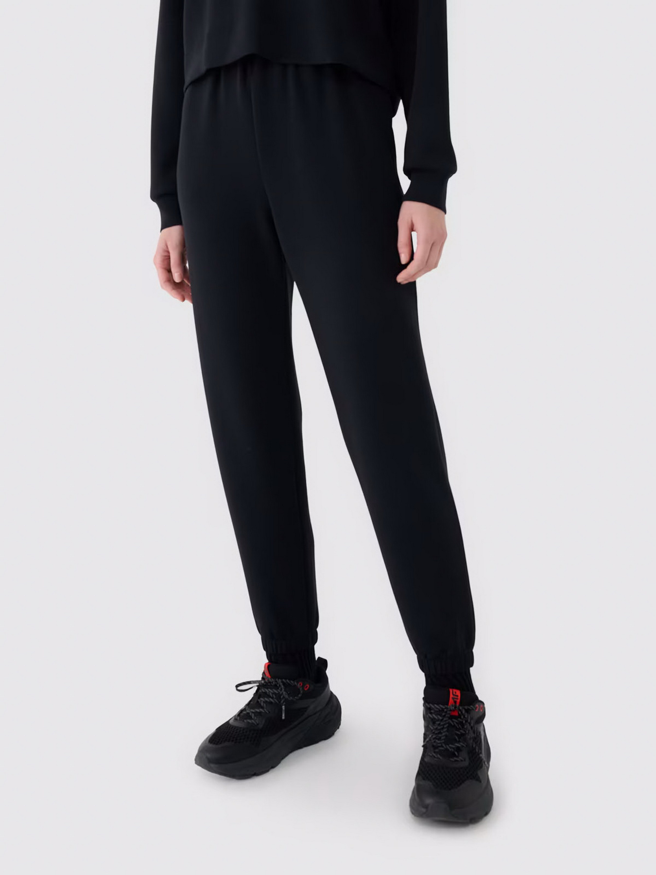 Штаны спортивные 4F F1010 модель 4FWSS25TTROF1010-20S Фото