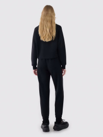 Штаны спортивные 4F F1010 модель 4FWSS25TTROF1010-20S Фото