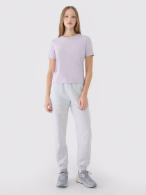 Футболка 4F F1991 модель 4FWSS25TTSHF1991-52S Футболка 4F F1991 модель 4FWSS25TTSHF1991-52S Фото