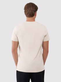 Футболка 4F M1974 модель 4FWSS25TTSHM1974-12S Фото