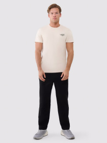 Футболка 4F M1974 модель 4FWSS25TTSHM1974-12S Фото