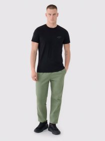 Футболка 4F M1974 Модель 4FWSS25TTSHM1974-20S Фото