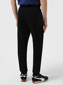 Штани спортивні 4F U0997 модель 4FWSS25TTROU0997-20S Фото