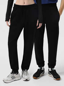 Спортивні штани 4F U0997 модель 4FWSS25TTROU0997-20S Фото