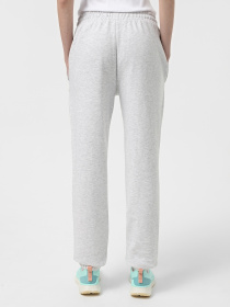 Штани спортивні 4F U0997 модель 4FWSS25TTROU0997-27M Фото