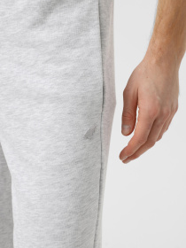 Штани спортивні 4F U0997 модель 4FWSS25TTROU0997-27M Фото