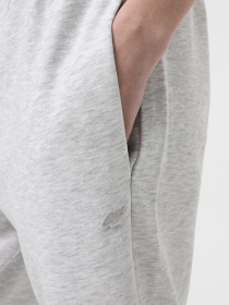 Спортивні штани 4F U0997 модель 4FWSS25TTROU0997-27M Фото