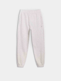 Спортивні штани 4F U0997 модель 4FWSS25TTROU0997-27M Фото