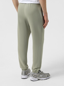 Штани спортивні 4F U0997 модель 4FWSS25TTROU0997-44S Фото