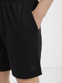 Спортивні шорти 4F Basic модель 4FSS23TFSHM199-20S Фото