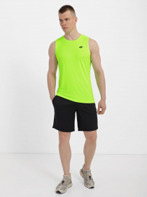 Спортивні шорти 4F Basic модель 4FSS23TFSHM199-20S Фото