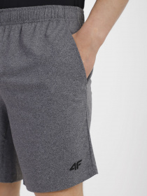 Шорти спортивні 4F модель 4FSS23TFSHM199-27M Фото