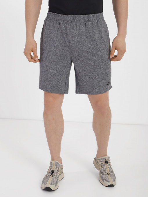 Шорты спортивные 4F модель 4FSS23TFSHM199-27M Фото