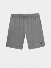 Шорты спортивные 4F модель 4FSS23TFSHM199-27M Фото