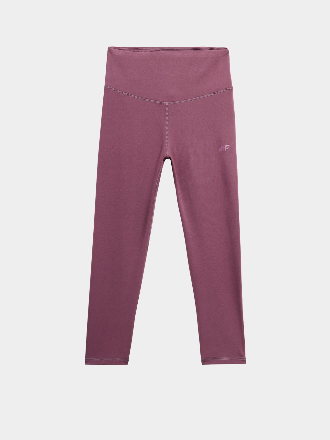 Спортивні леггінси 4F Basic+ модель 4FSS23TFTIF122-60S Фото