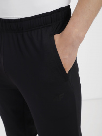 Штани спортивні 4F Basic модель 4FSS23TFTRM167-20S Фото