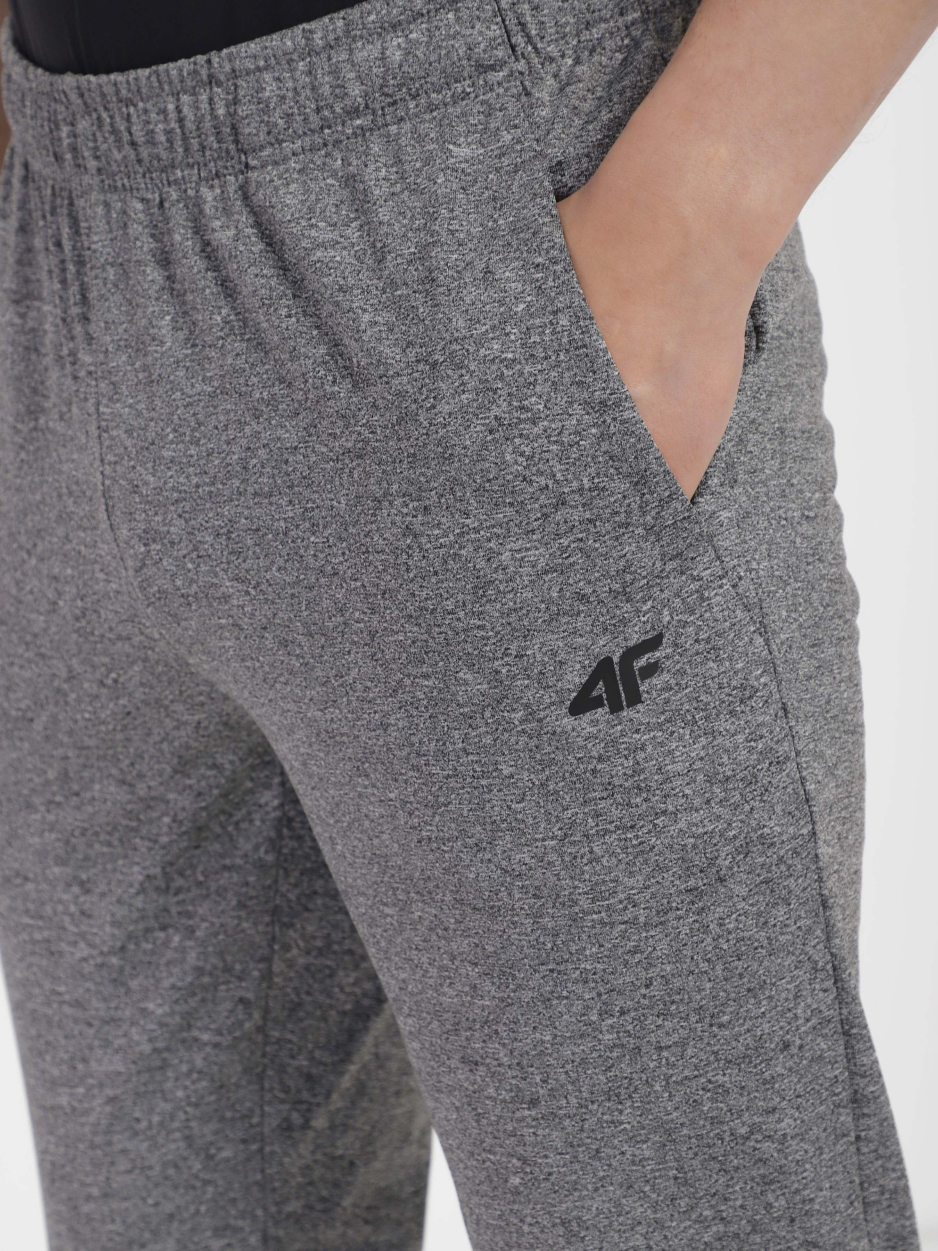 Штани спортивні 4F Basic модель 4FSS23TFTRM167-27M Фото