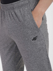 Штани спортивні 4F Basic модель 4FSS23TFTRM167-27M Фото