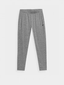 Штани спортивні 4F Basic модель 4FSS23TFTRM167-27M Фото