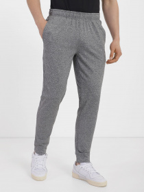 Штани спортивні 4F Basic модель 4FSS23TFTRM167-27M Фото