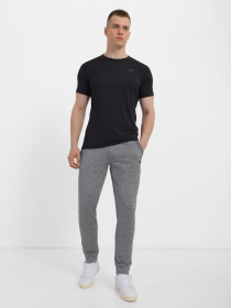 Спортивні штани 4F Basic модель 4FSS23TFTRM167-27M Фото