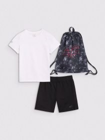 Спортивний комплект 4F M026 модель 4FJWSS25TAPSM026-20S Фото